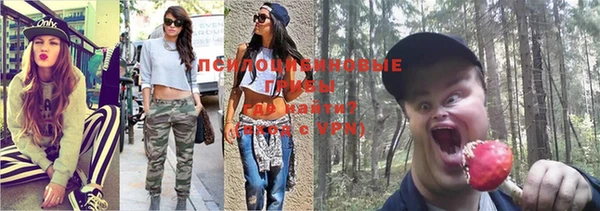 шишки Алексеевка