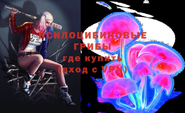 шишки Алексеевка