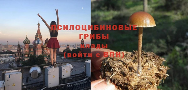 мяу мяу мука Алзамай