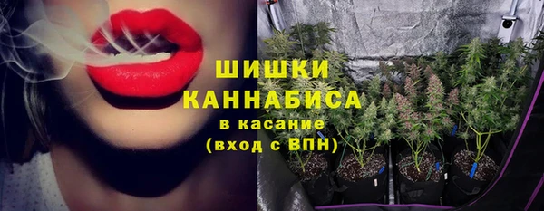 шишки Алексеевка
